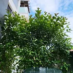 Appartement Rosemarie